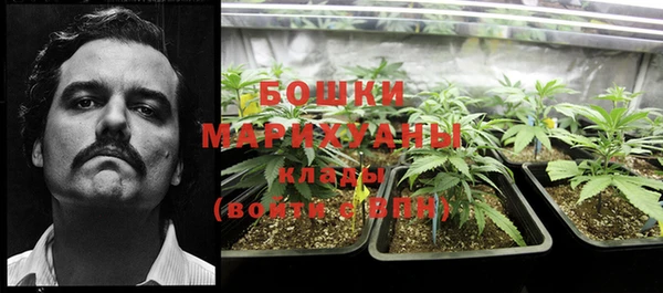 меф Новодвинск
