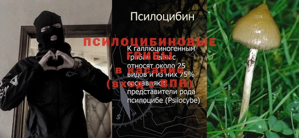 меф Новодвинск
