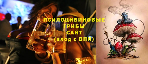 Альфа ПВП Новозыбков